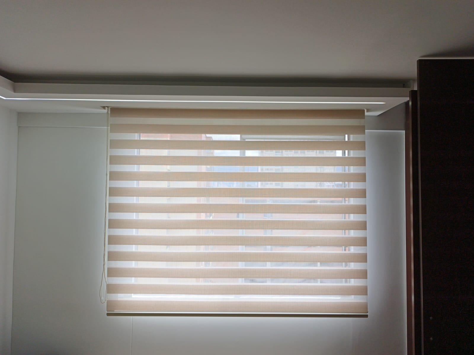 Proyecto Tradicionales 2